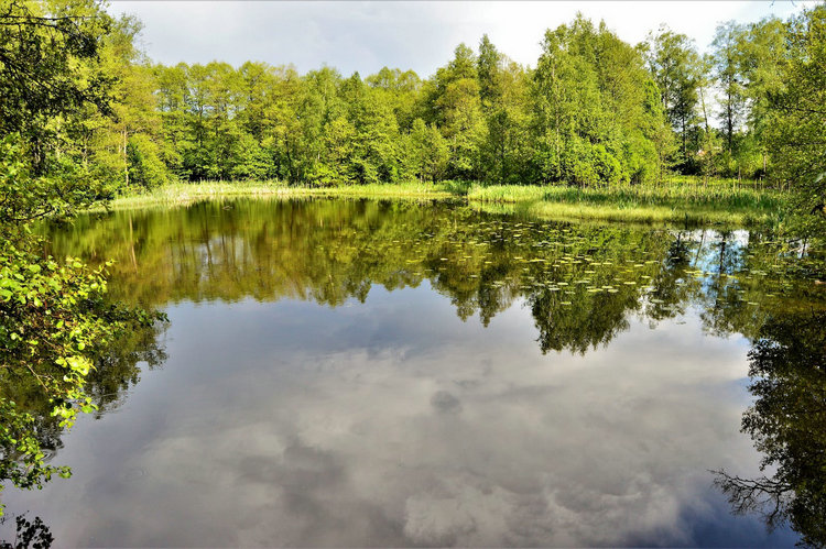 總磷分析儀 總磷分析儀